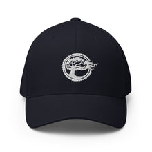 Load image into Gallery viewer, Beyond the Grain Flexfit Twill Cap