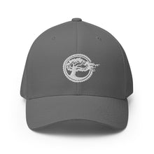 Load image into Gallery viewer, Beyond the Grain Flexfit Twill Cap