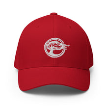Load image into Gallery viewer, Beyond the Grain Flexfit Twill Cap