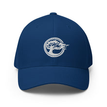 Load image into Gallery viewer, Beyond the Grain Flexfit Twill Cap